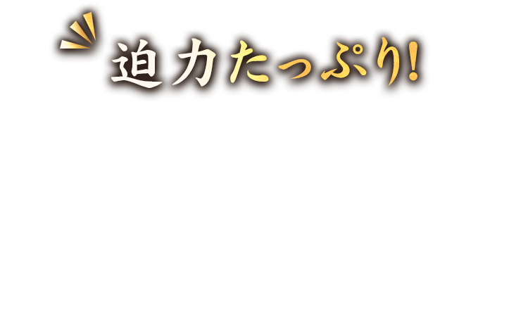 迫力たっぷり！