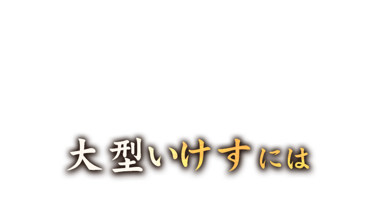 大型いけすには