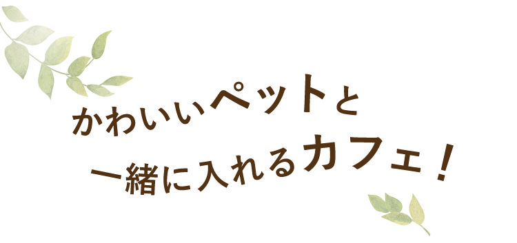 周南市 美味しいランチが人気のドッグカフェ Yamato 公式